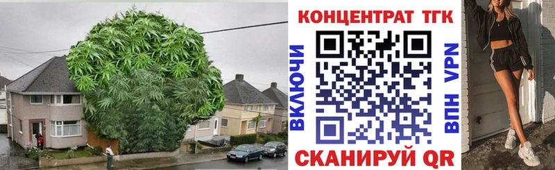 ТГК вейп  продажа наркотиков  Краснообск 