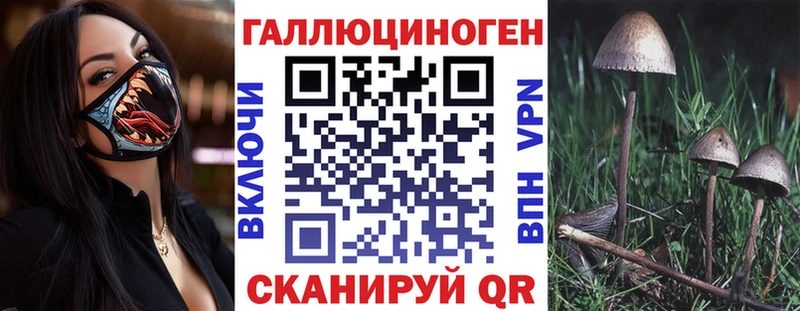 это состав  Краснообск  Псилоцибиновые грибы Magic Shrooms  хочу  